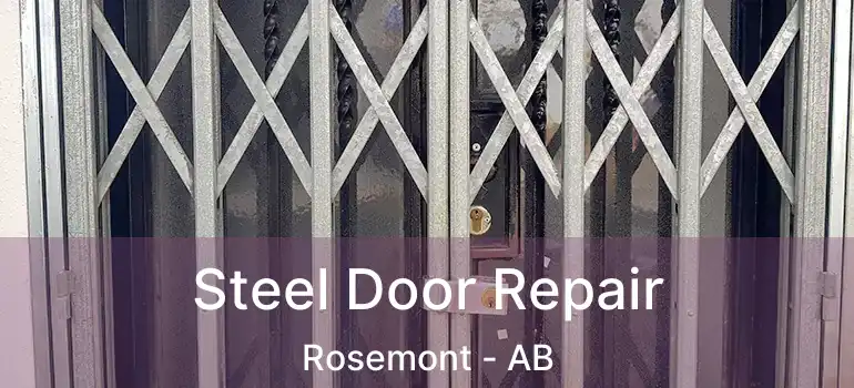  Steel Door Repair Rosemont - AB