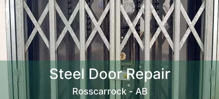  Steel Door Repair Rosscarrock - AB