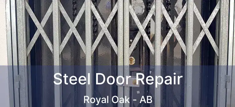  Steel Door Repair Royal Oak - AB