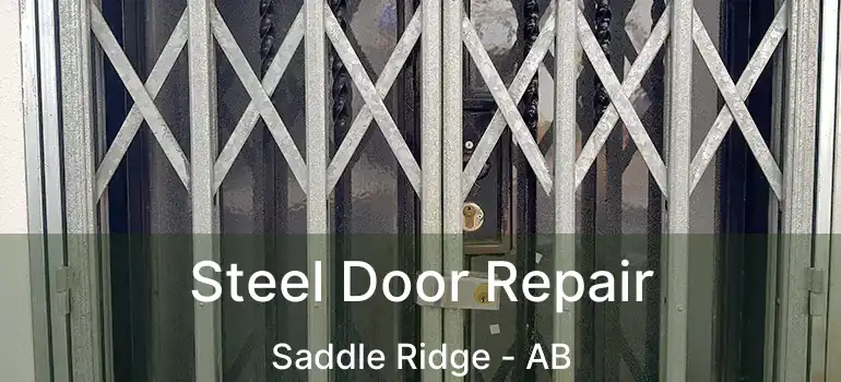  Steel Door Repair Saddle Ridge - AB