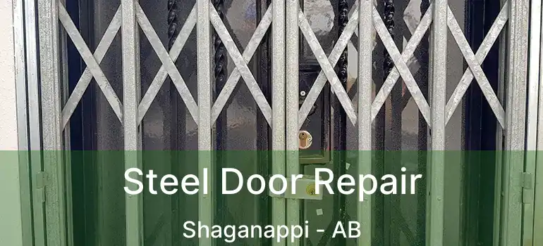  Steel Door Repair Shaganappi - AB