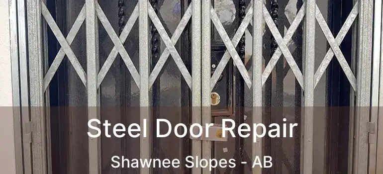  Steel Door Repair Shawnee Slopes - AB