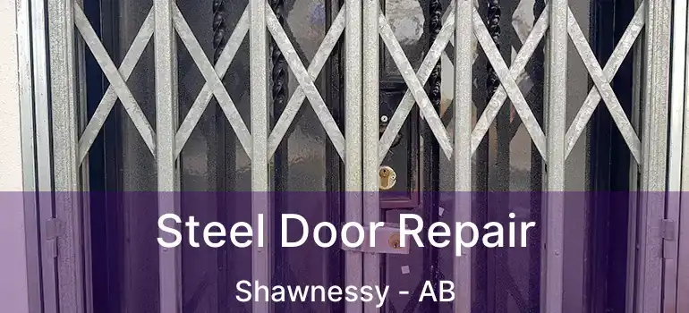  Steel Door Repair Shawnessy - AB