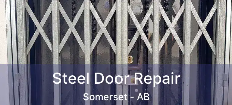  Steel Door Repair Somerset - AB