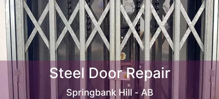  Steel Door Repair Springbank Hill - AB