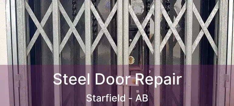  Steel Door Repair Starfield - AB