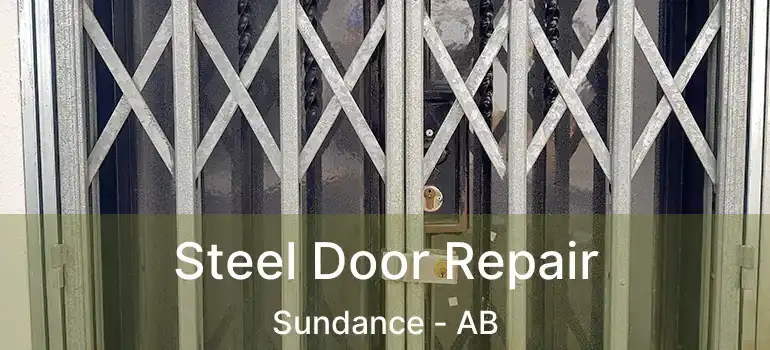 Steel Door Repair Sundance - AB