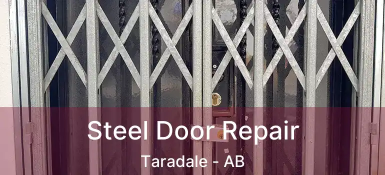  Steel Door Repair Taradale - AB