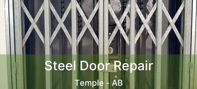  Steel Door Repair Temple - AB