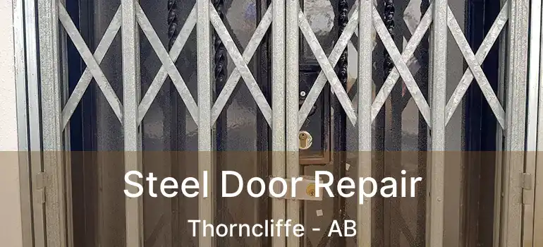  Steel Door Repair Thorncliffe - AB