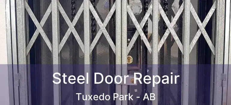  Steel Door Repair Tuxedo Park - AB