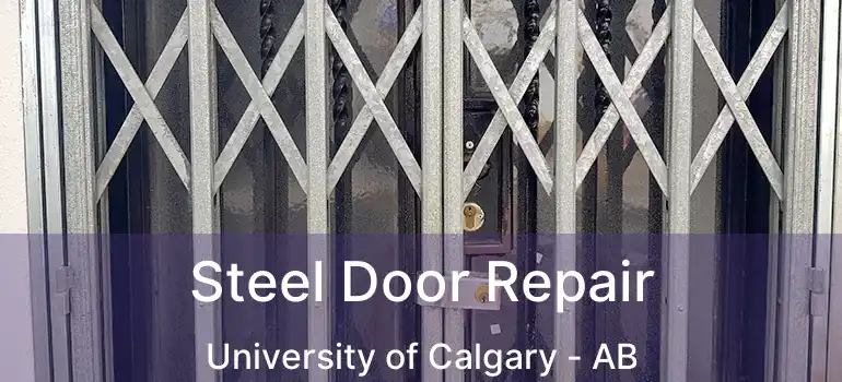  Steel Door Repair University of Calgary - AB
