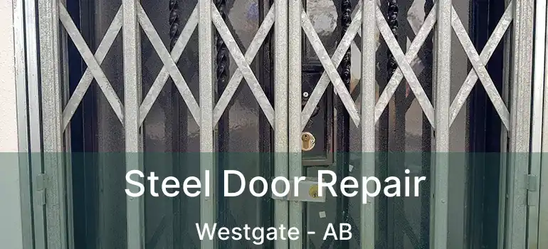  Steel Door Repair Westgate - AB