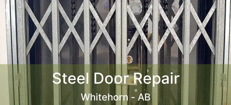  Steel Door Repair Whitehorn - AB