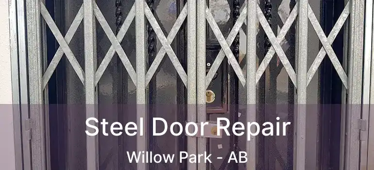  Steel Door Repair Willow Park - AB