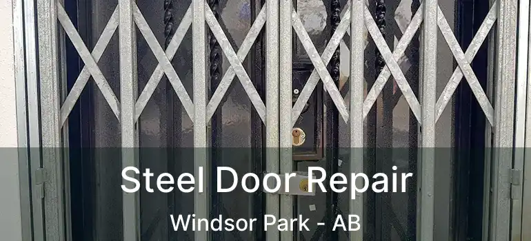  Steel Door Repair Windsor Park - AB