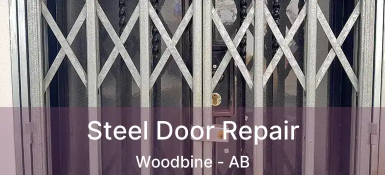  Steel Door Repair Woodbine - AB