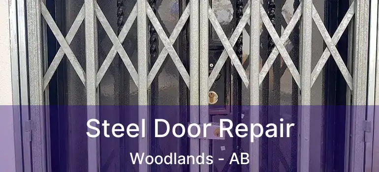  Steel Door Repair Woodlands - AB