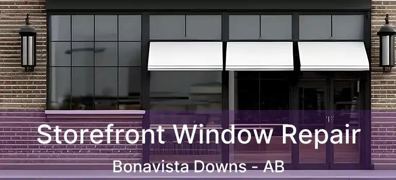  Storefront Window Repair Bonavista Downs - AB