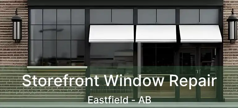  Storefront Window Repair Eastfield - AB