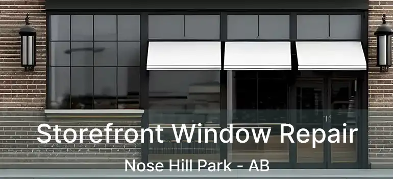  Storefront Window Repair Nose Hill Park - AB