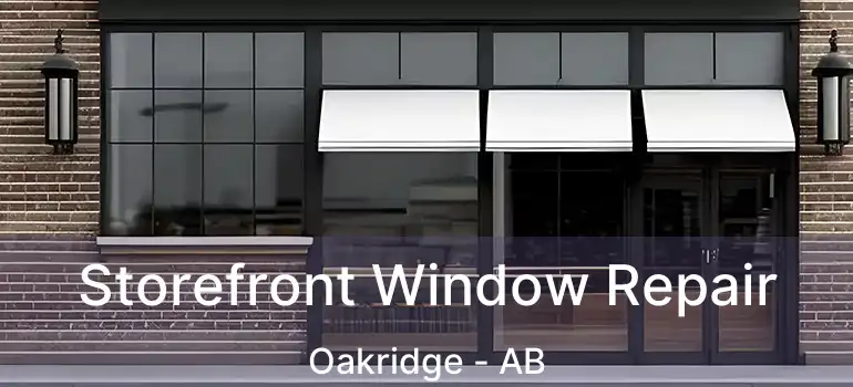  Storefront Window Repair Oakridge - AB