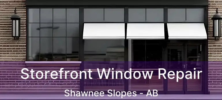  Storefront Window Repair Shawnee Slopes - AB