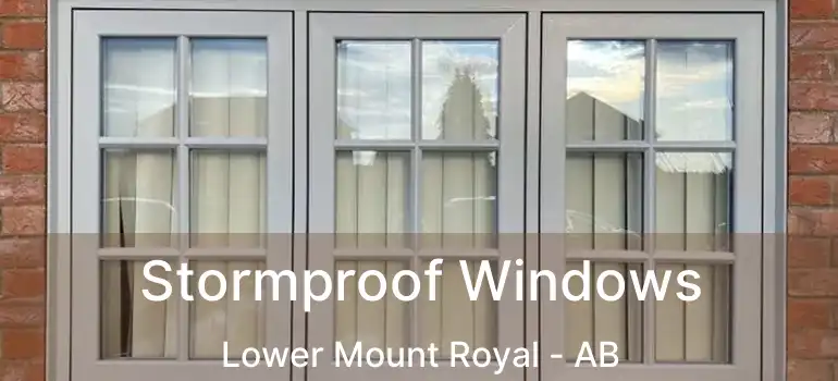 Stormproof Windows Lower Mount Royal - AB