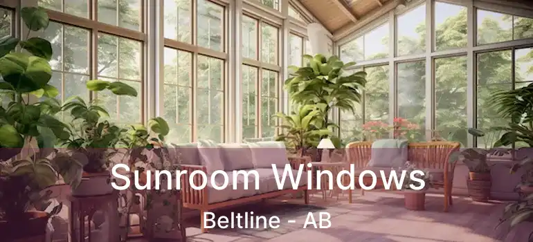  Sunroom Windows Beltline - AB