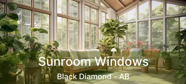  Sunroom Windows Black Diamond - AB