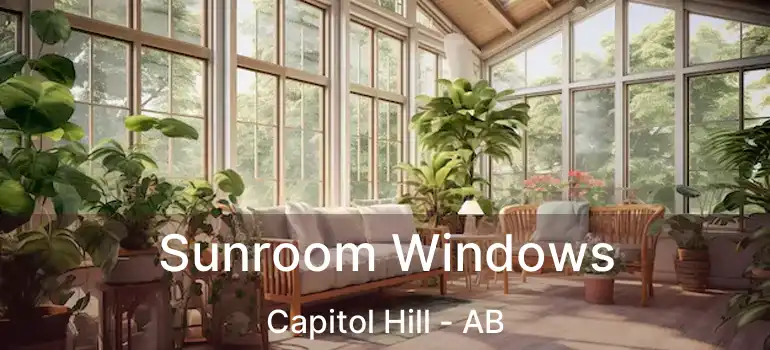  Sunroom Windows Capitol Hill - AB