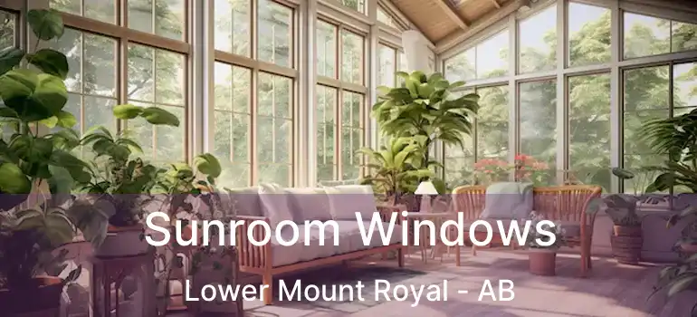  Sunroom Windows Lower Mount Royal - AB
