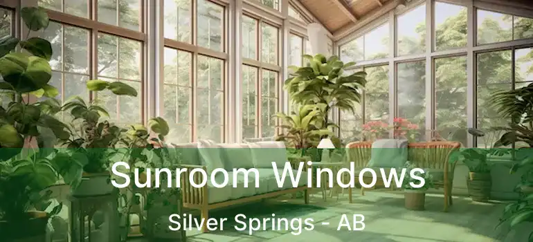  Sunroom Windows Silver Springs - AB