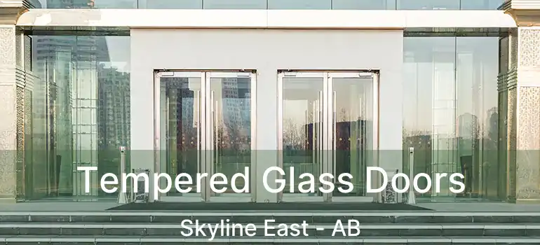  Tempered Glass Doors Skyline East - AB
