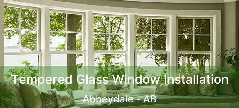  Tempered Glass Window Installation Abbeydale - AB