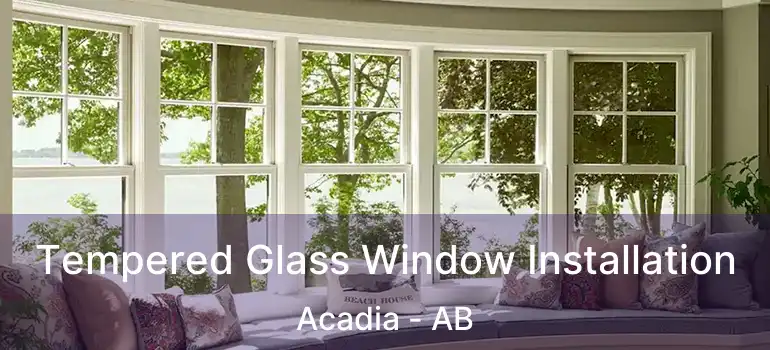  Tempered Glass Window Installation Acadia - AB