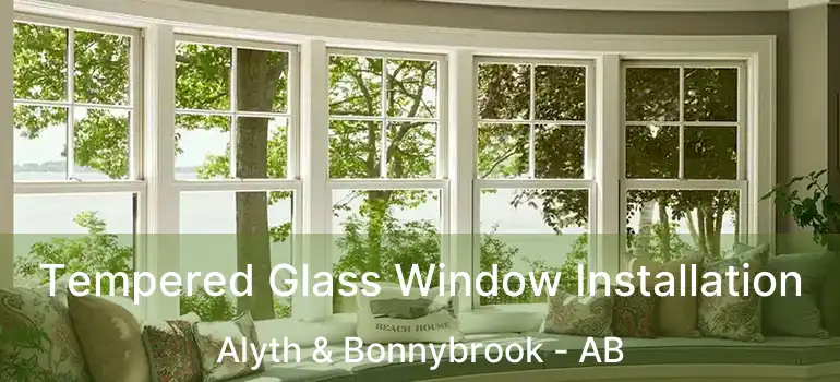  Tempered Glass Window Installation Alyth & Bonnybrook - AB