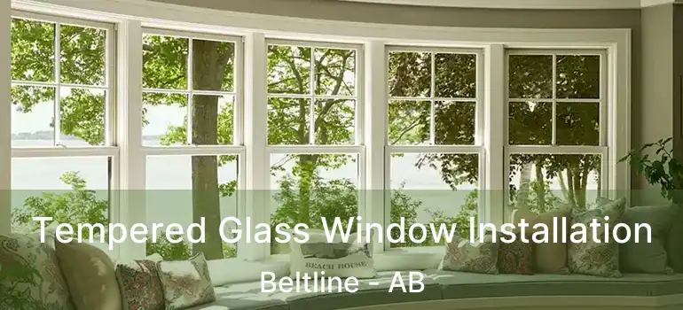  Tempered Glass Window Installation Beltline - AB