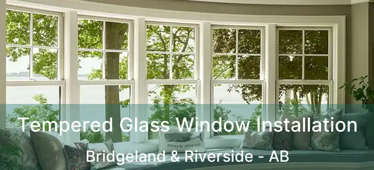  Tempered Glass Window Installation Bridgeland & Riverside - AB