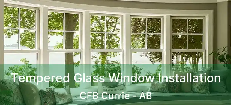  Tempered Glass Window Installation CFB Currie - AB