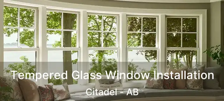  Tempered Glass Window Installation Citadel - AB
