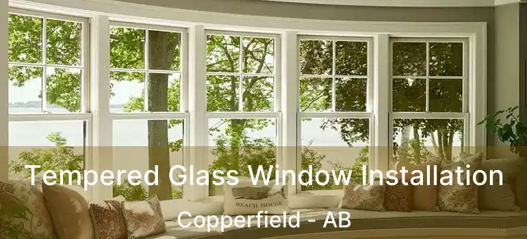  Tempered Glass Window Installation Copperfield - AB