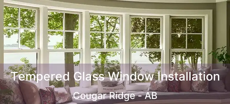  Tempered Glass Window Installation Cougar Ridge - AB