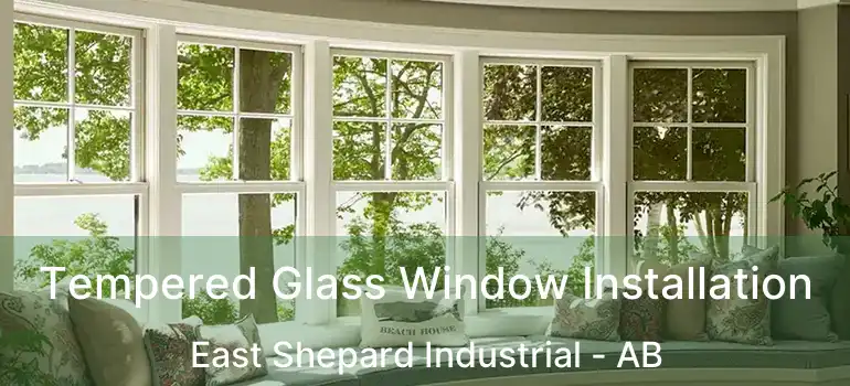  Tempered Glass Window Installation East Shepard Industrial - AB