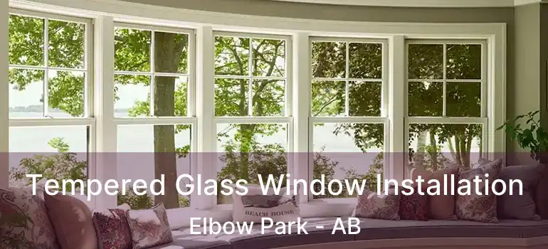  Tempered Glass Window Installation Elbow Park - AB