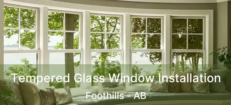  Tempered Glass Window Installation Foothills - AB