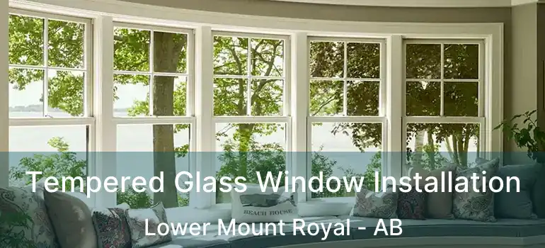  Tempered Glass Window Installation Lower Mount Royal - AB