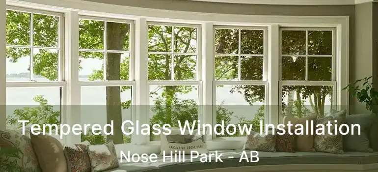  Tempered Glass Window Installation Nose Hill Park - AB