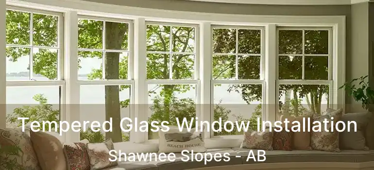  Tempered Glass Window Installation Shawnee Slopes - AB