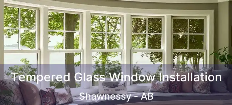  Tempered Glass Window Installation Shawnessy - AB